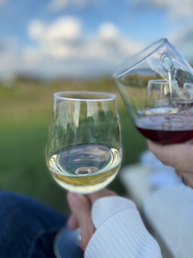 Two wine glasses help up outside. The article is about Northern Michigan Wine Country. 