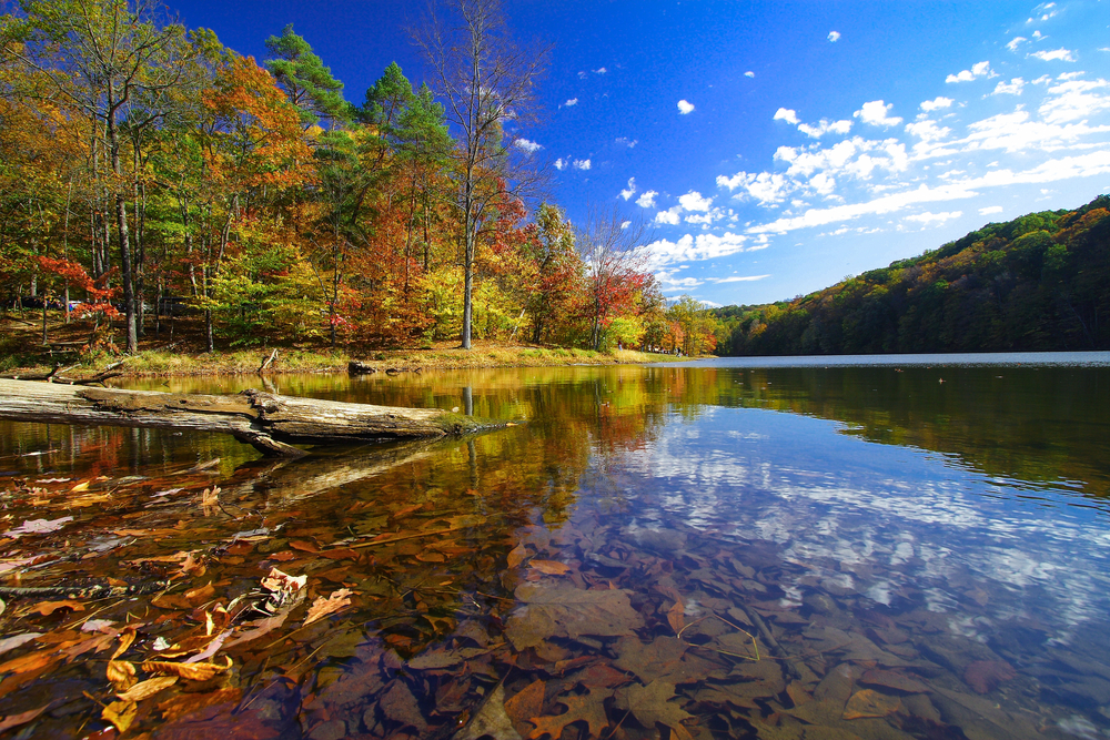 lake surrounded by fall trees midwest fall scenic drives