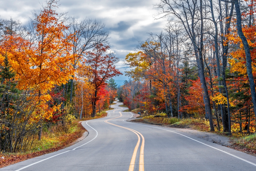 curvy road surrounded by fall trees midwest fall scenic drives
