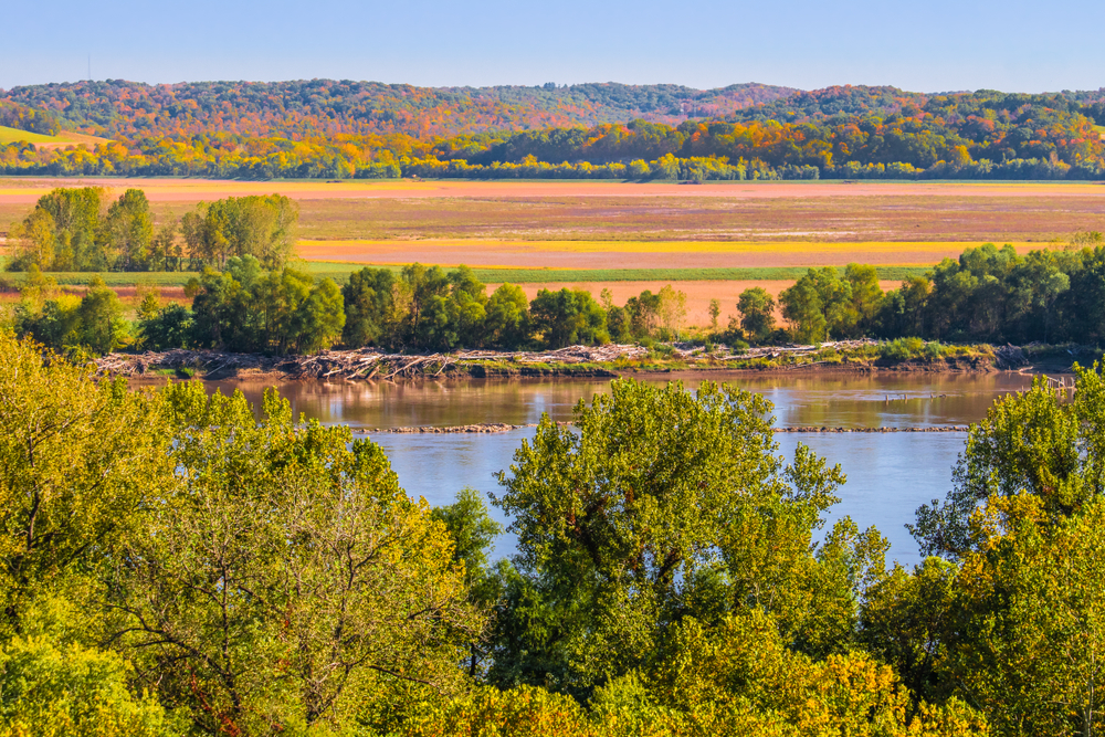 view of a lake with trees surrounding it