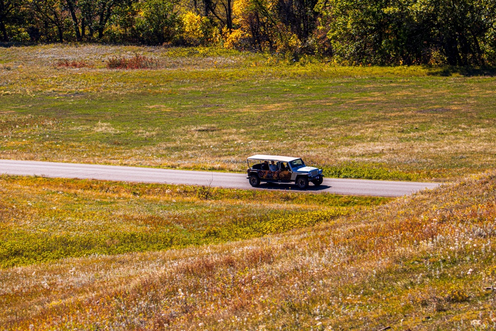 car on the road