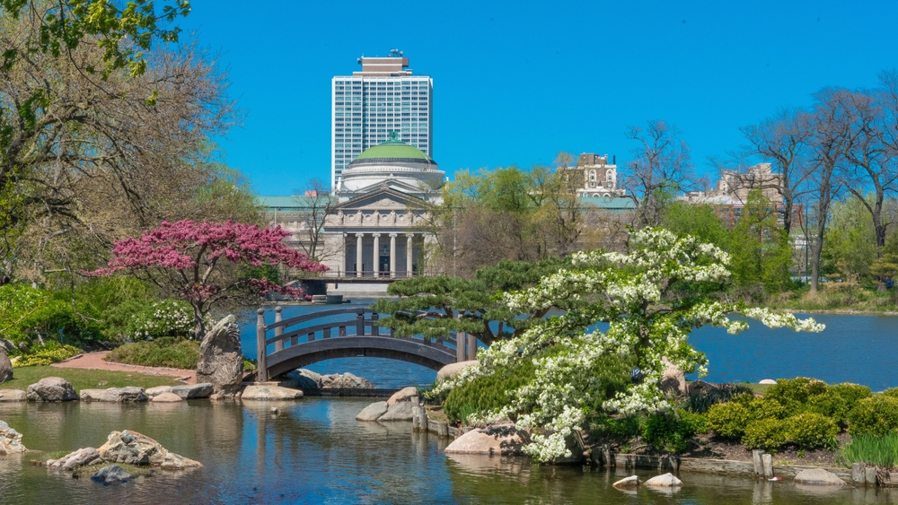 A beautiful shot in the Jackson Park in Chicago. It is of the Japanese garden and you can see tress in flower. There is a building in the background. the article is about hidden gems in Chicago. 